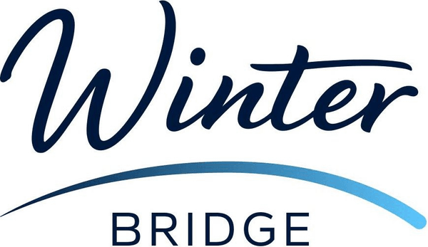 Winter Bridge